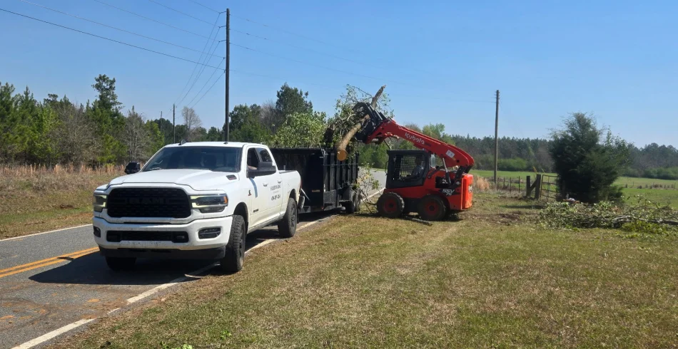 Debris Hauling & Cleanup Debris Hauling & Cleanup